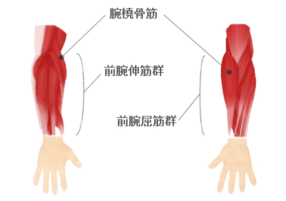 ボルダリングでの筋肉痛で前腕が痛い 筋肉痛の治し方と対処法 最新 気になる話題